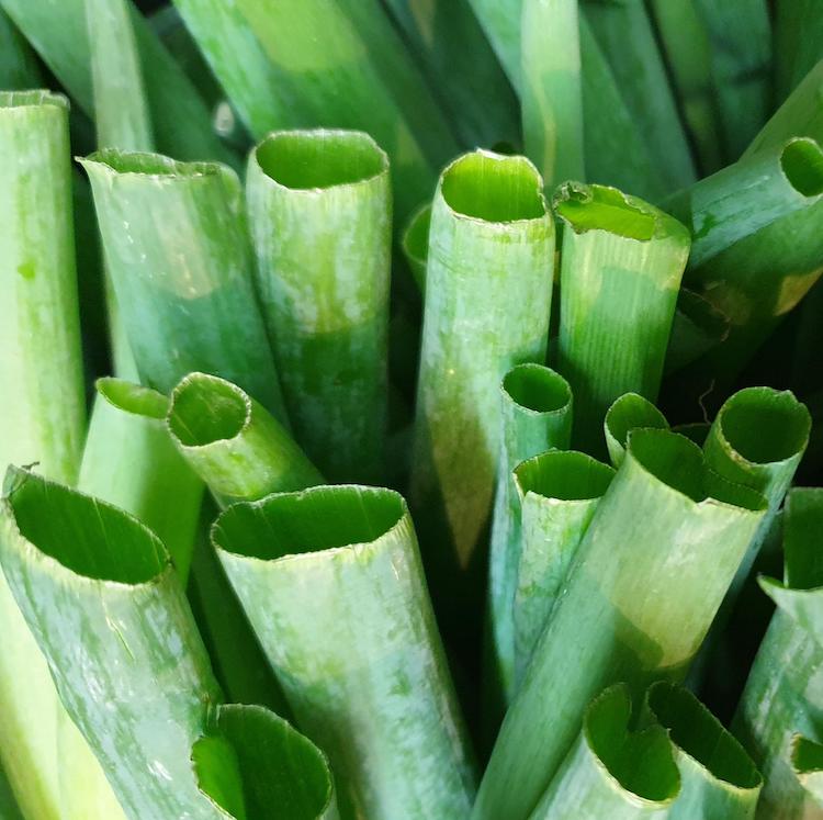 scallion