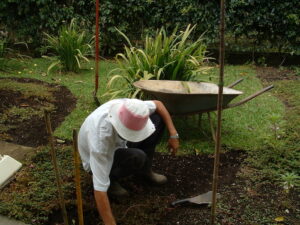 preparing-soil